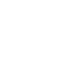 Logo White